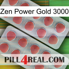 Zen Power Gold 3000 19